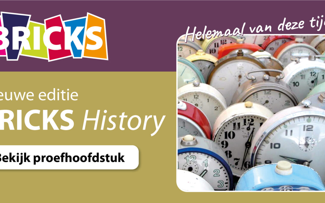 Proefhoofdstuk BRICKS History